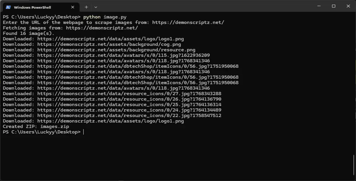 Website Image Scraper & Bulk Downloader (Python)